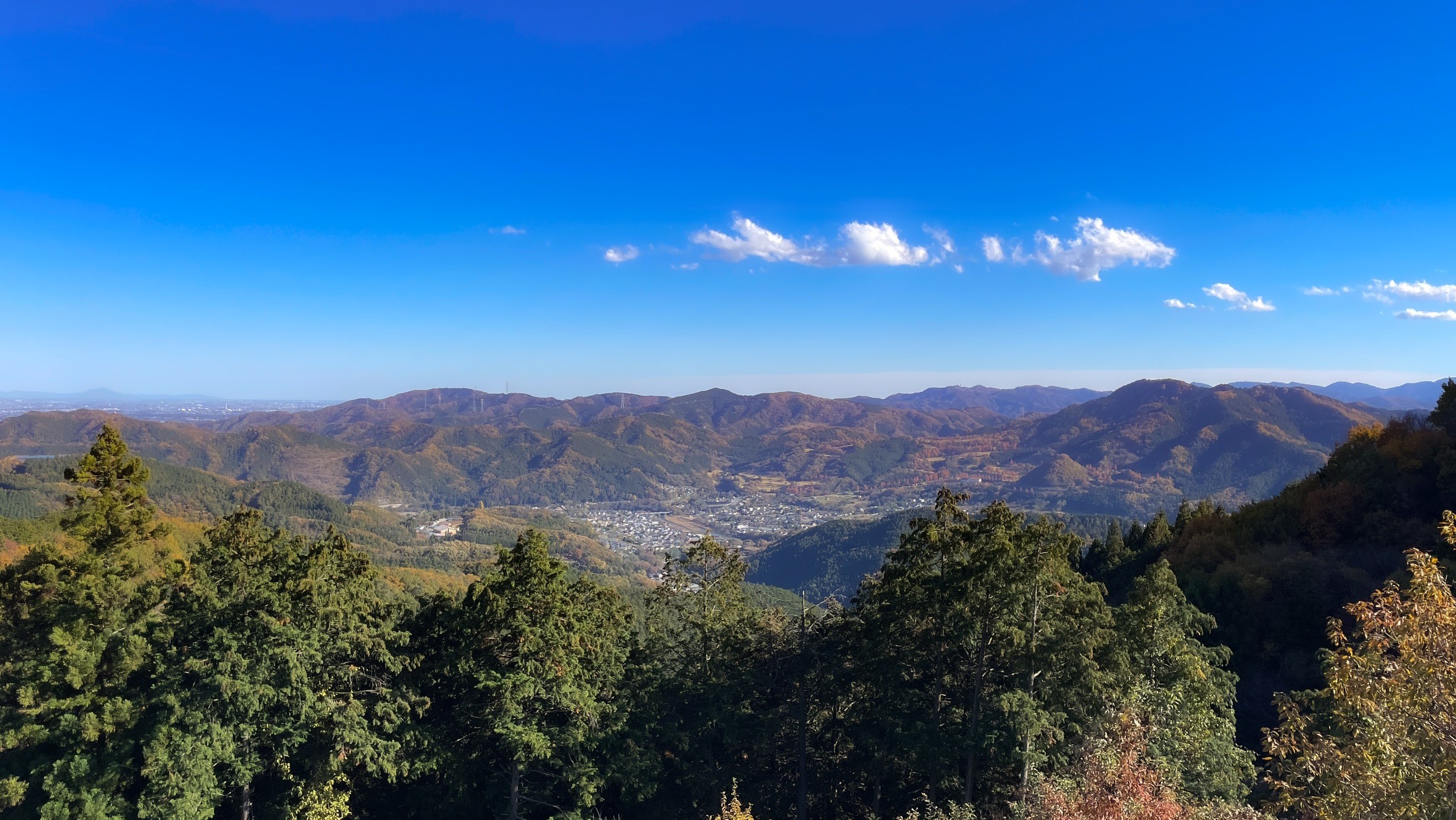 桜山公園2024.11.28