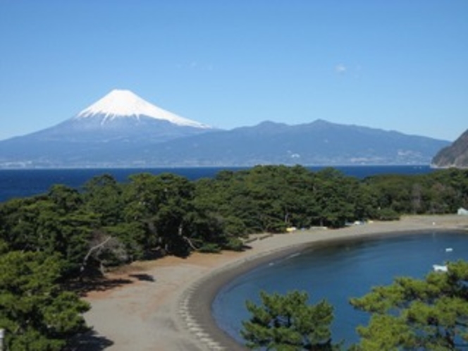 マリンビュー周辺からの富士絶景！