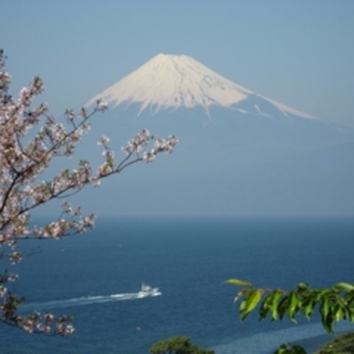 富士山と桜