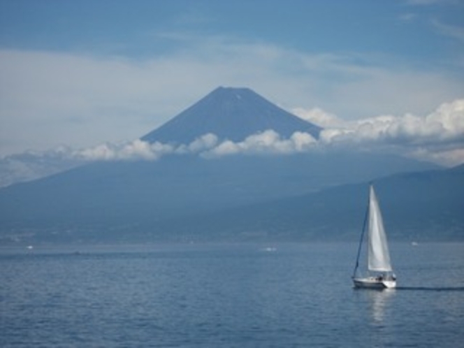 マリンビュー周辺からの富士絶景！