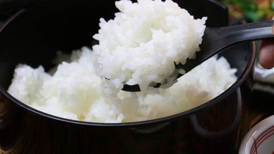 ＃栃木県にある農家直送のお米は安心安全の美味しいお米！女将お墨付き