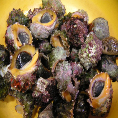 Sea food