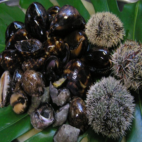 Sea food