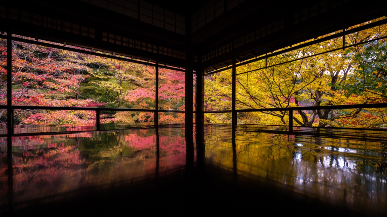 【リニューアルプラン 】京都観光の拠点に♪バッハの流れるホテルで癒しの京都旅【素泊り】