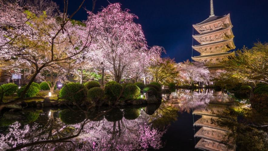 【東寺】京都駅から程近く、五重塔と桜の景色は風情がある(バス約24分)
