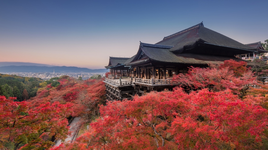 【清水寺】清水の舞台からは京都の街並みと紅葉の海を望む〈バス約27分〉