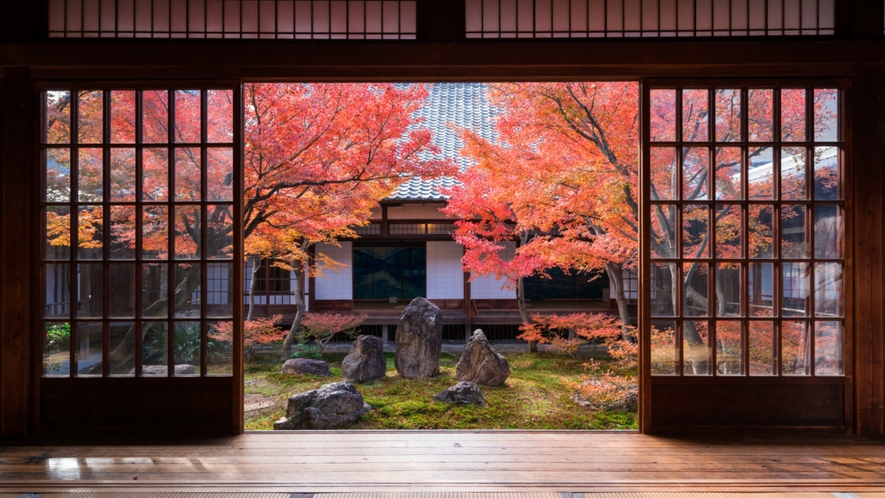 【紅葉スポット・建仁寺】京都最古の禅寺。中庭「潮音庭」は凛とした美しさ(徒歩11分)