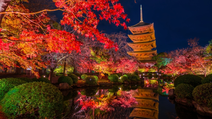 【東寺】京都の象徴である五重塔周辺が深紅に染まり池に移る姿が美しい〈バス約24分〉