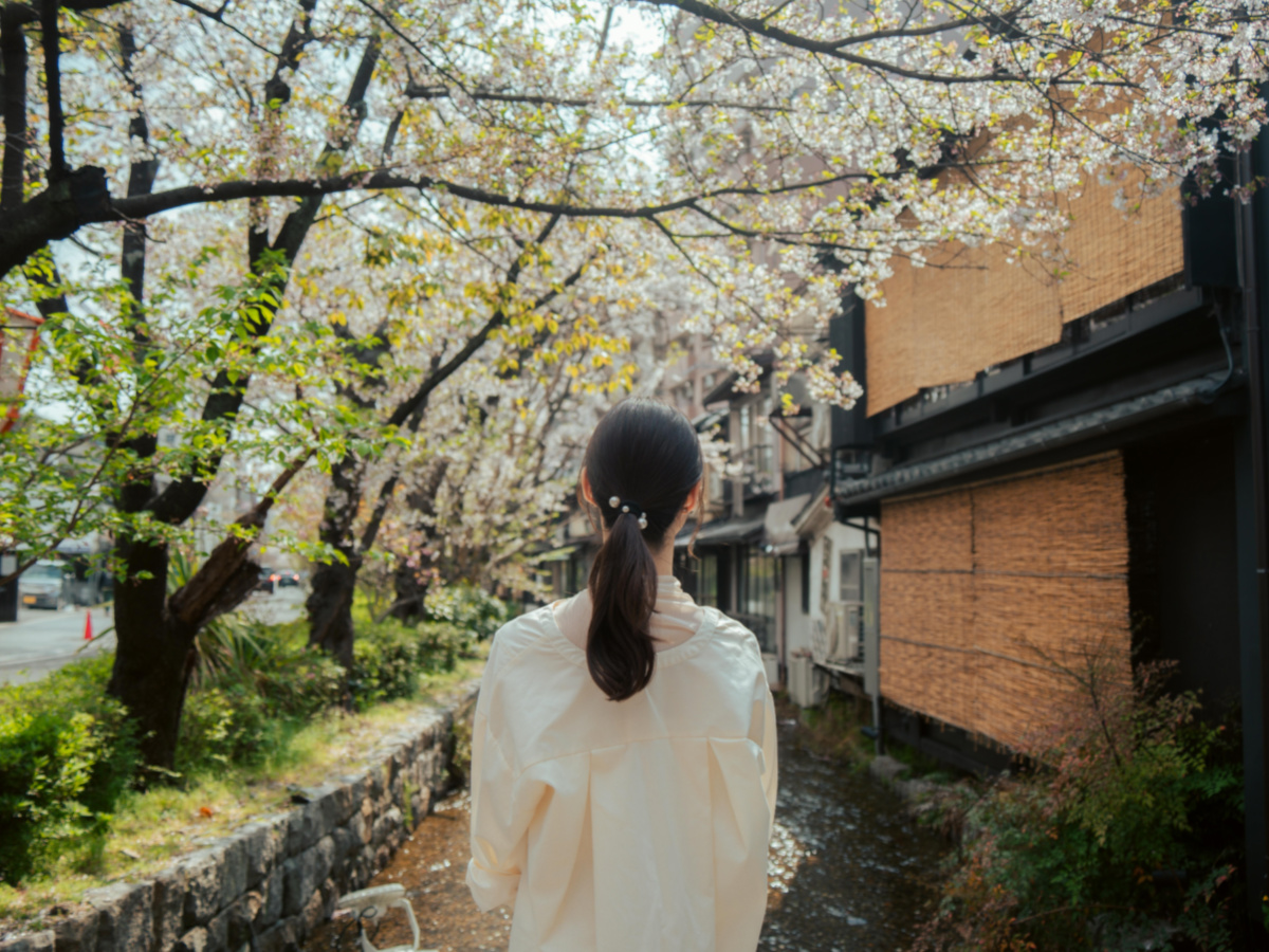 京都の中心地では数多くの観光スポットが点在