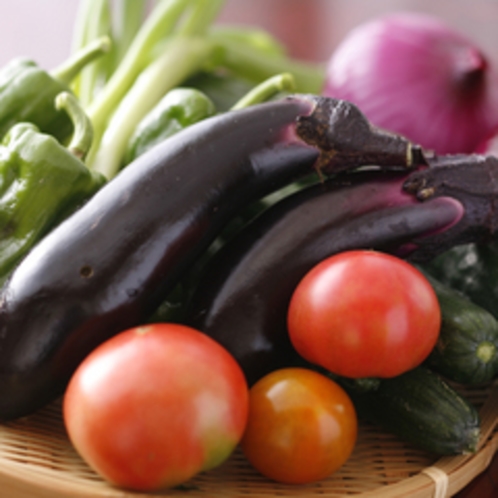 「　さだえ　」で使う野菜は、女将が育てる「　自家農園の野菜　」が中心です。
