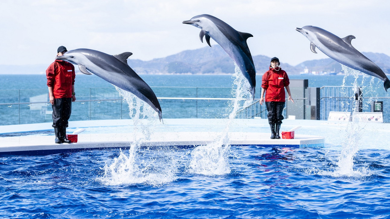 【心踊る体験と心和ます癒しを♪】 四国水族館入館チケット付き特別プラン☆(夕食はバイキング）