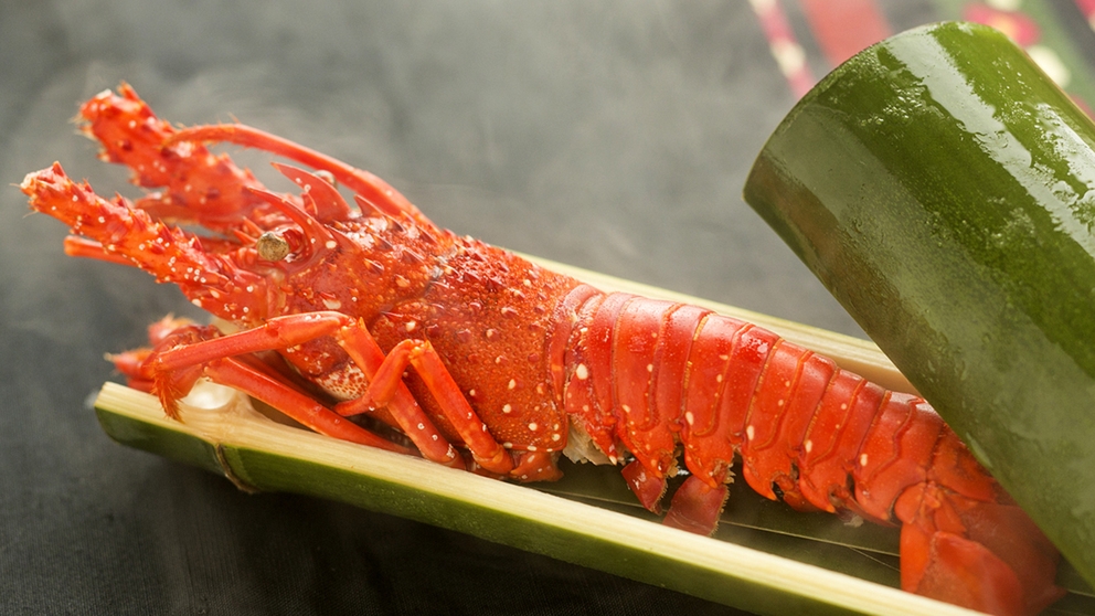 【厳選黒毛和牛付会席】グルメ必見！おくちでとろける「和牛」＋選べるメイン料理