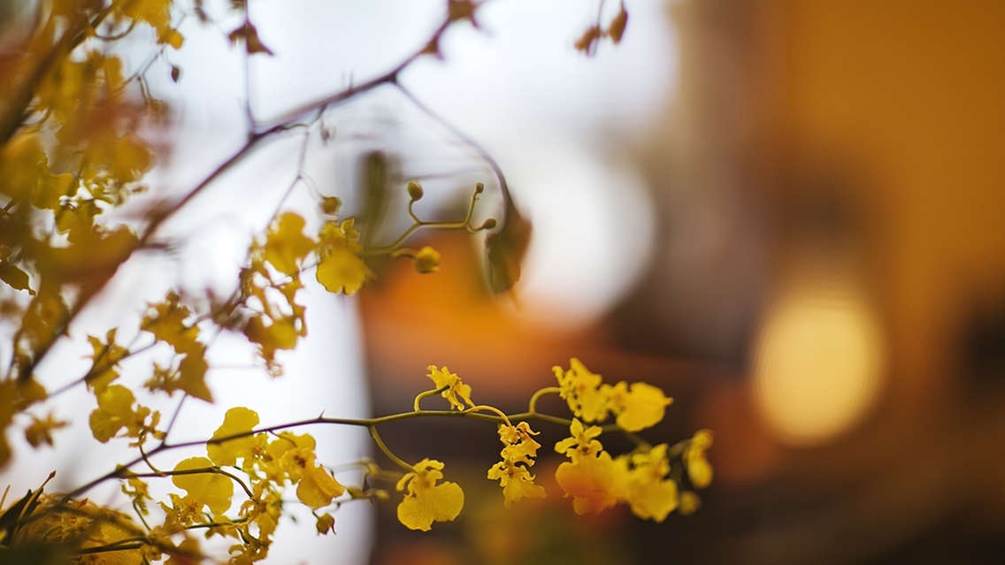 【QUOカード1，000円付＋ポイント4倍＋朝食付】ビジネスマン応援！温泉と朝食で疲労回復！