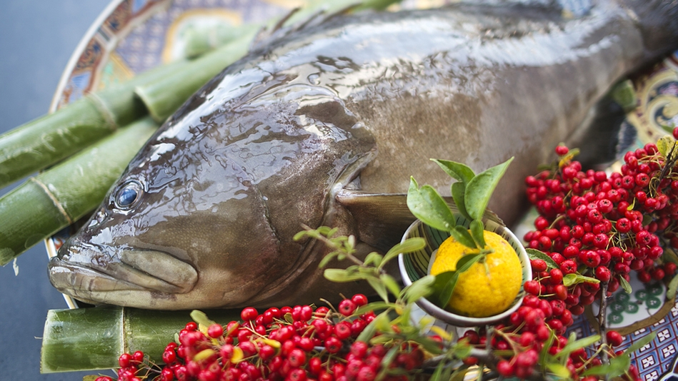 【幻の魚！クエ食べつくし】一度食べたら忘れられない！魅惑の味わい「高級魚クエ」
