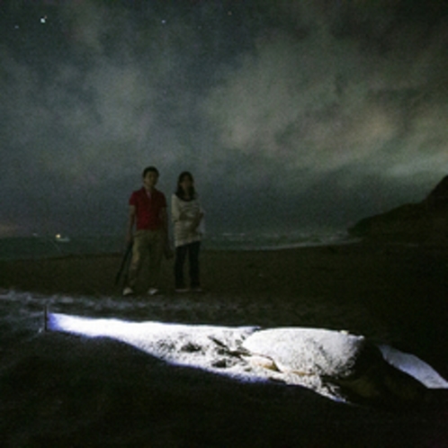 千里海岸本州日本一の海ガメ産卵地
