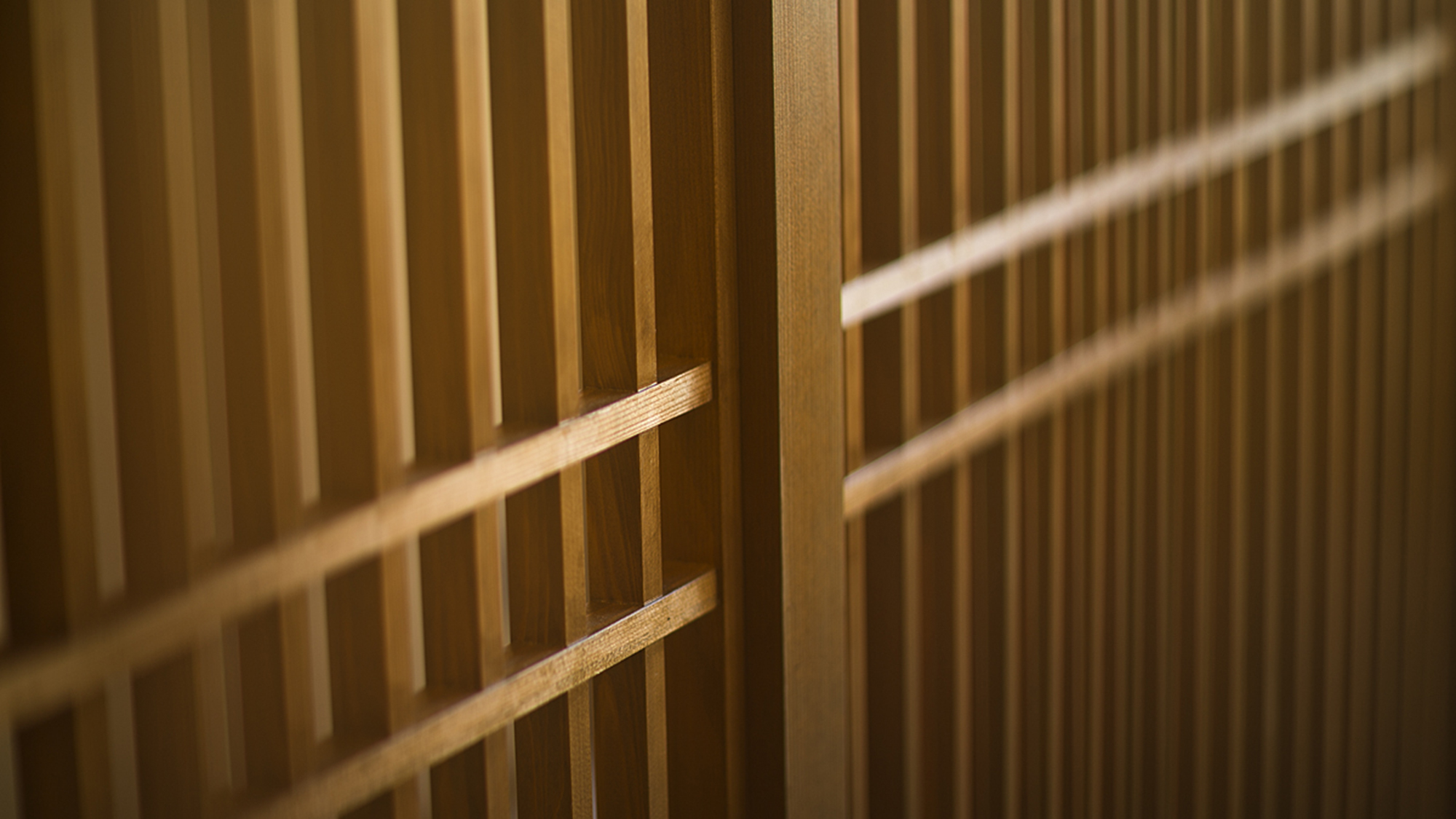 【館内イメージ】