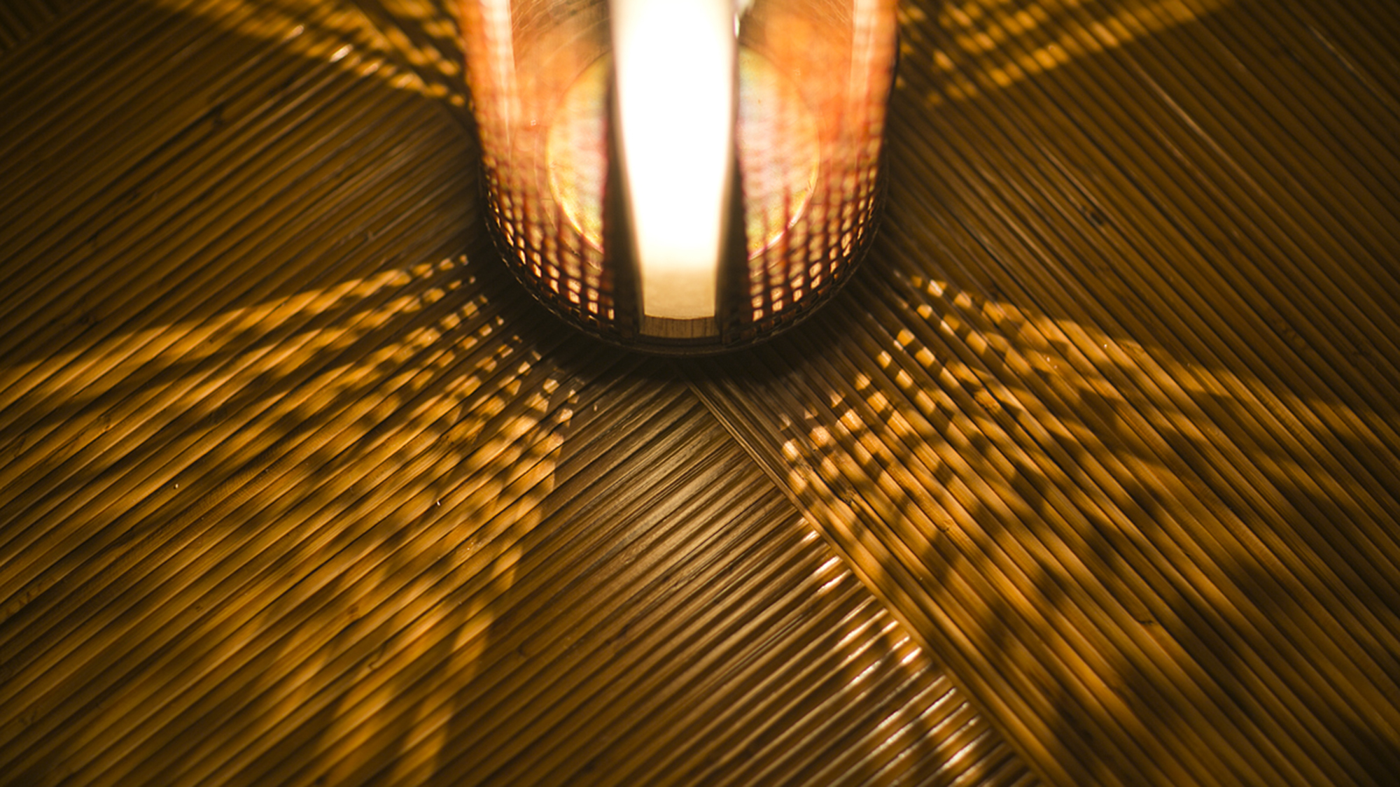 【館内イメージ】