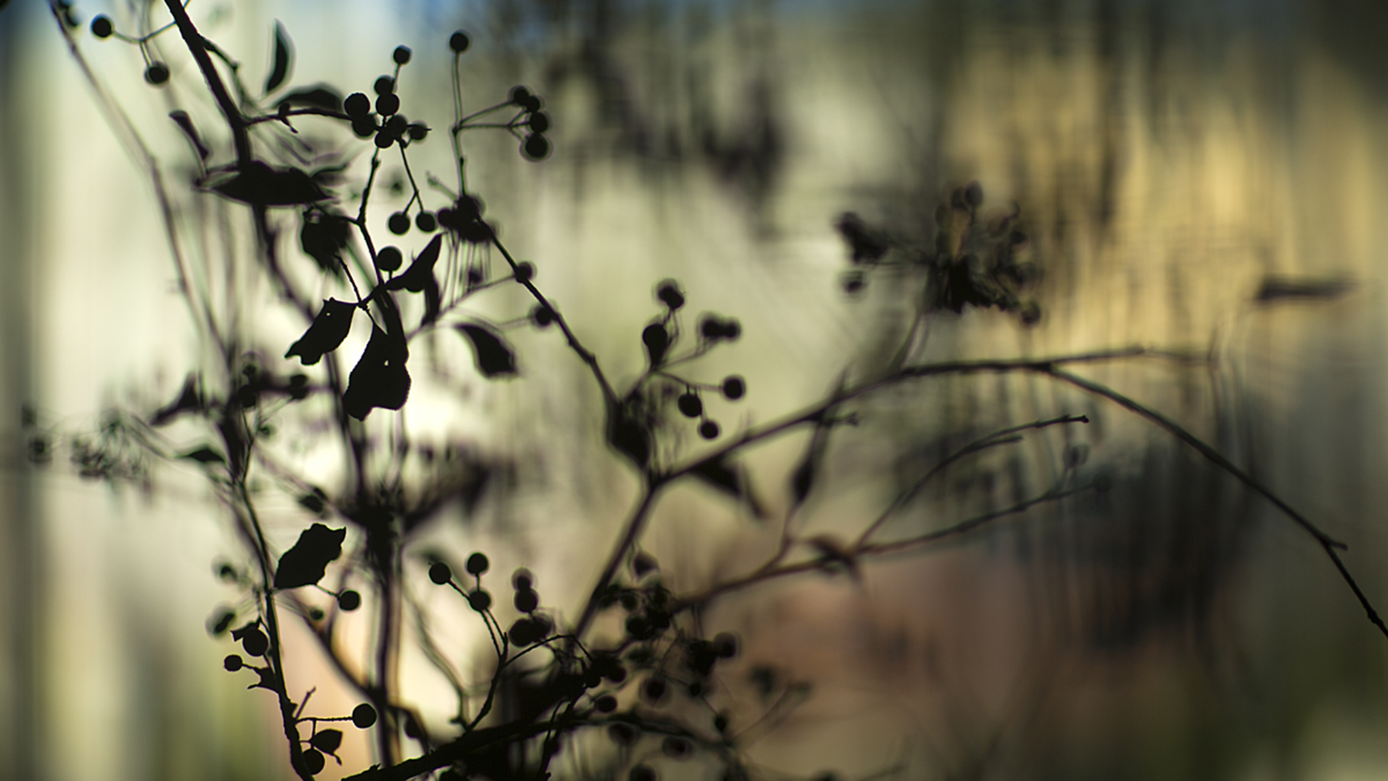 【館内イメージ】