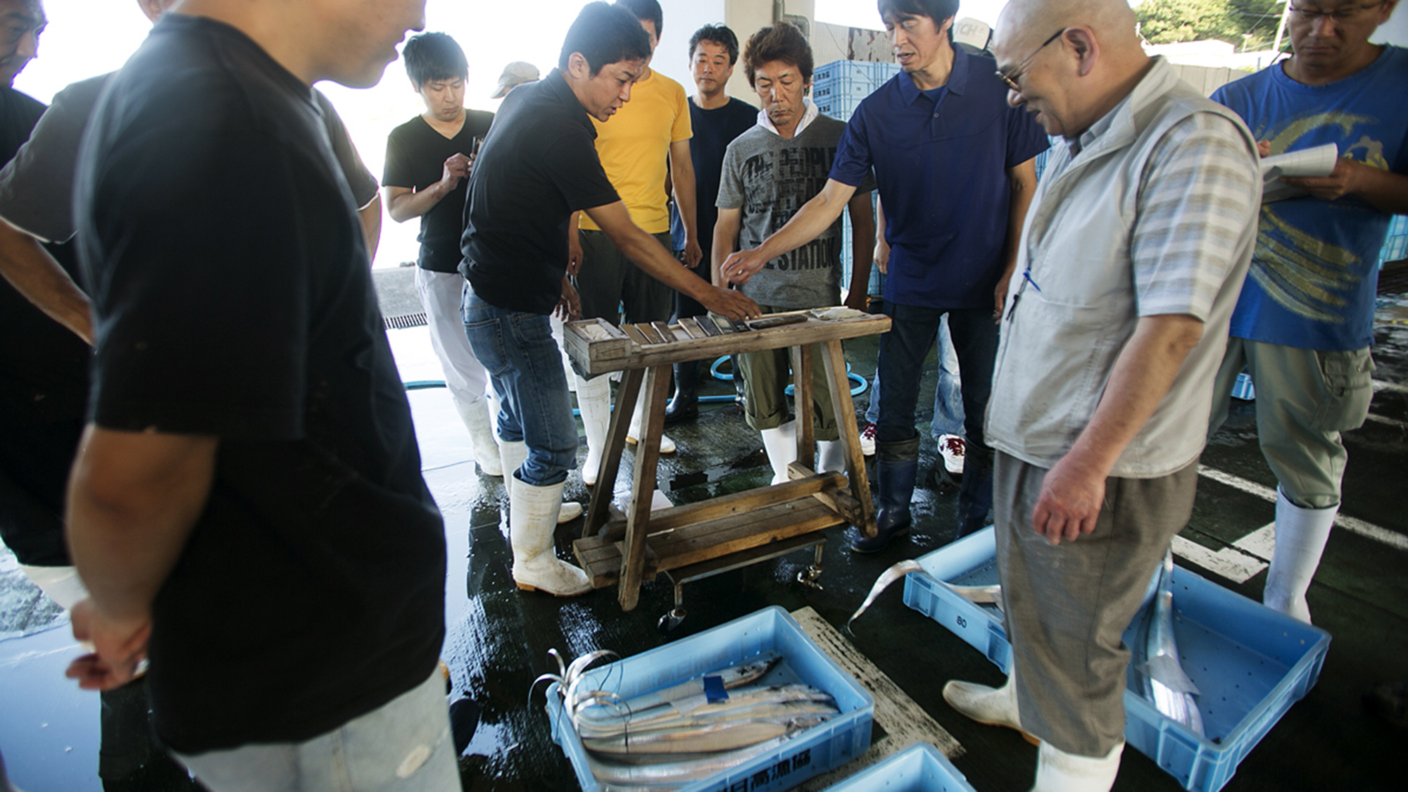 【朝の競り風景】 