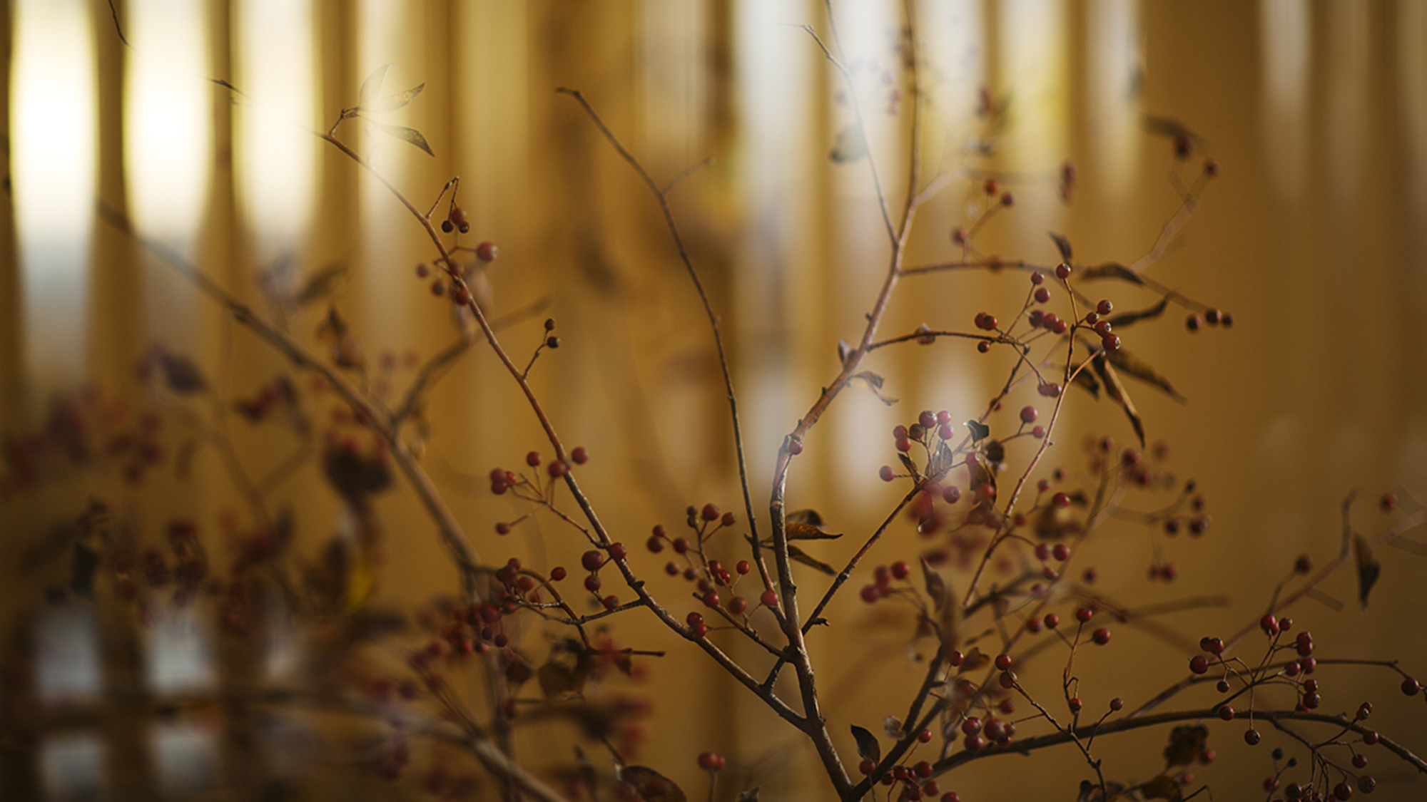 【館内イメージ】