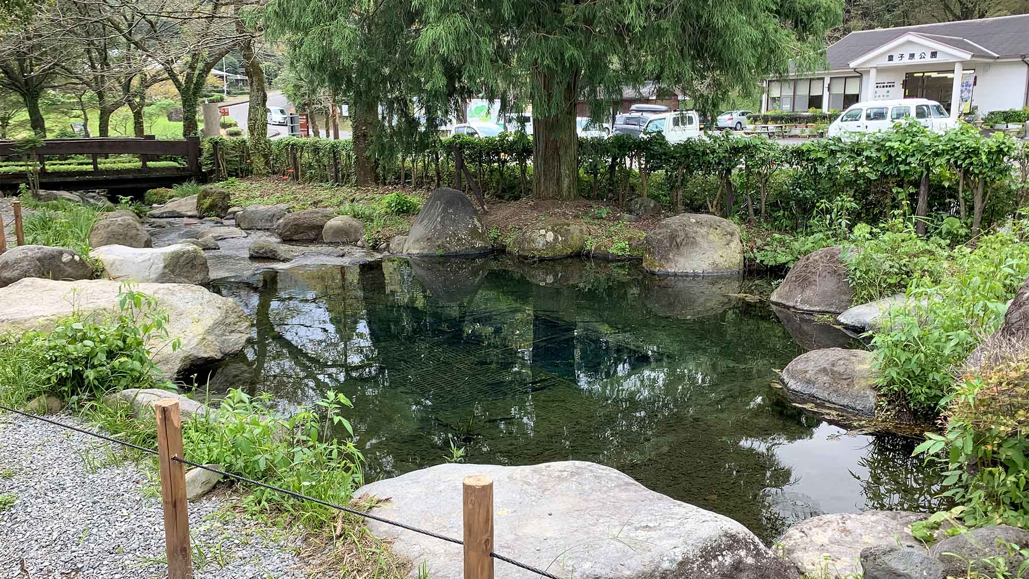 ・【釣り場　神武の館前】春には桜に囲まれながら、釣りをお楽しみいただけます