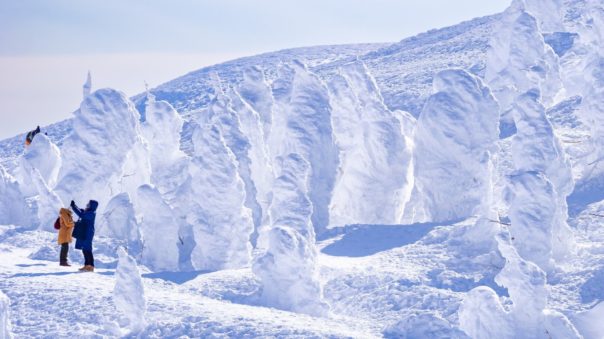 樹氷プラン　※イメージ
