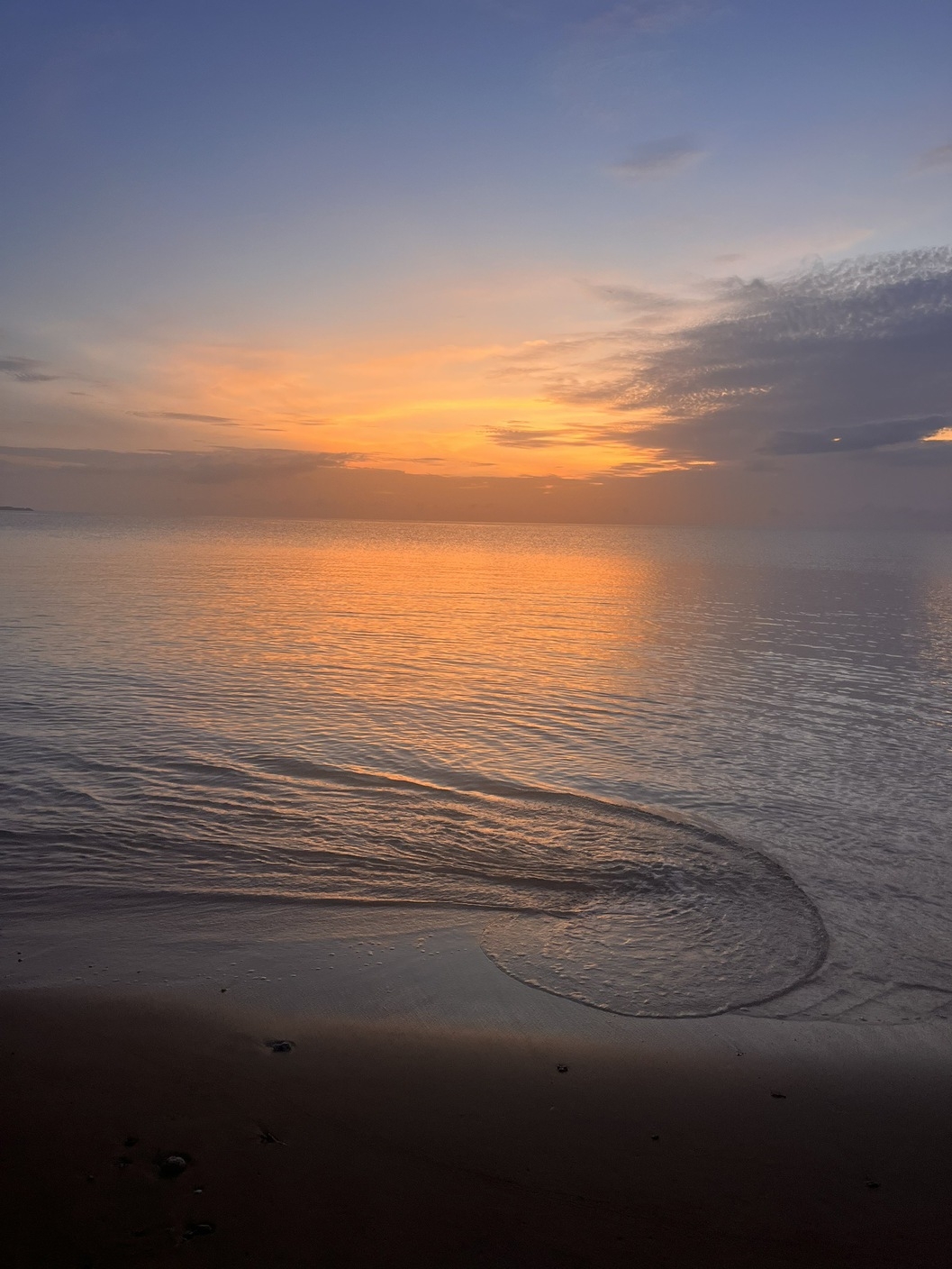 【朝食+夕食付】一泊2食付き　島時間を満喫　安心ステイプラン