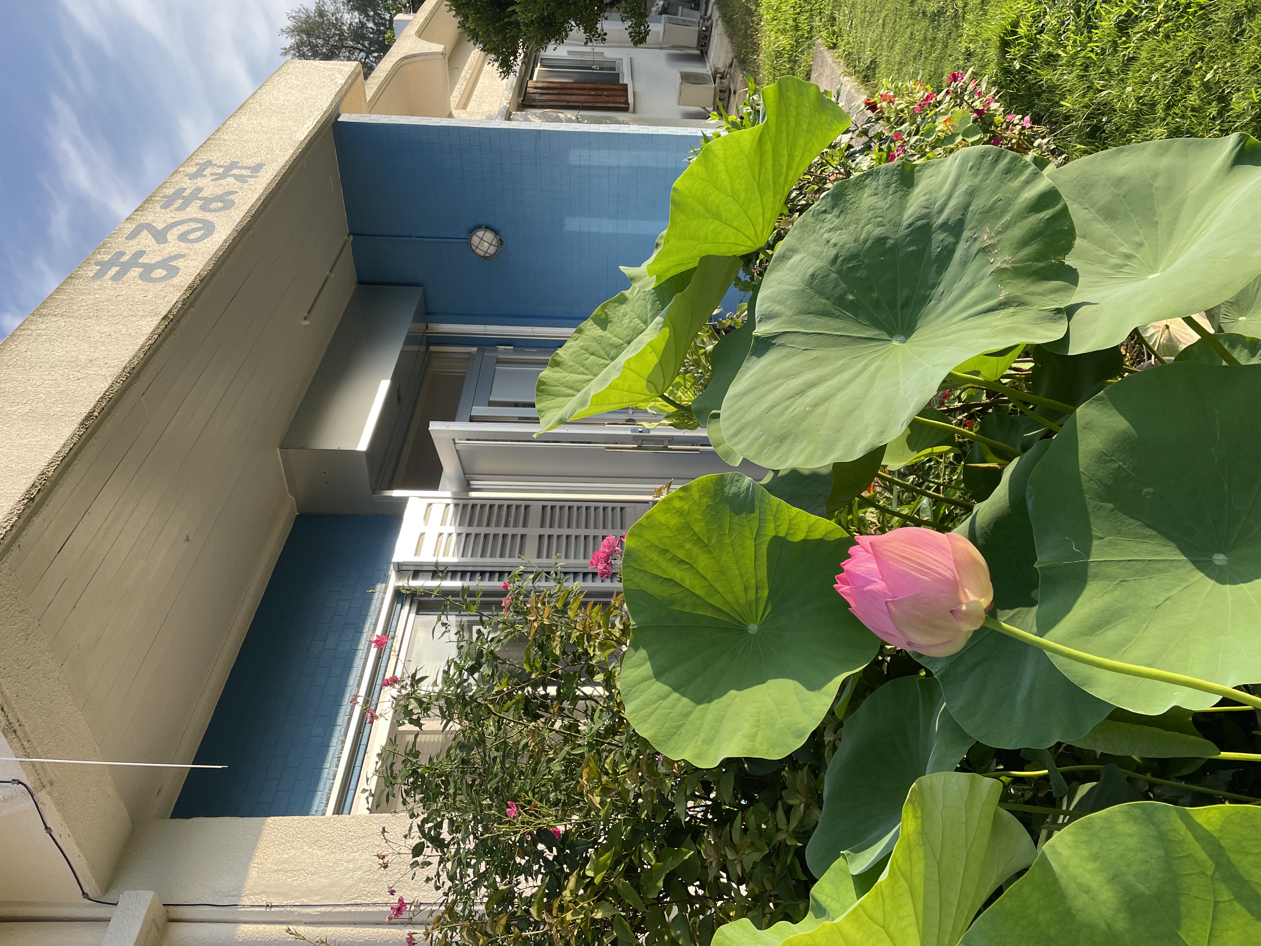 まるま荘　玄関