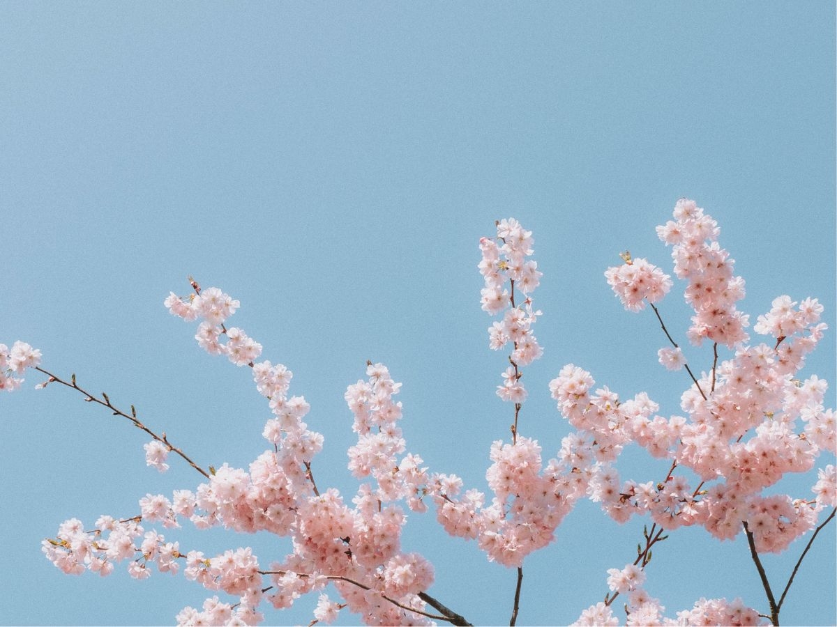 【期間限定】晴れの日お祝い旅行！卒業・入学祝いに思い出のひと時を・・・♪特典付きプラン！