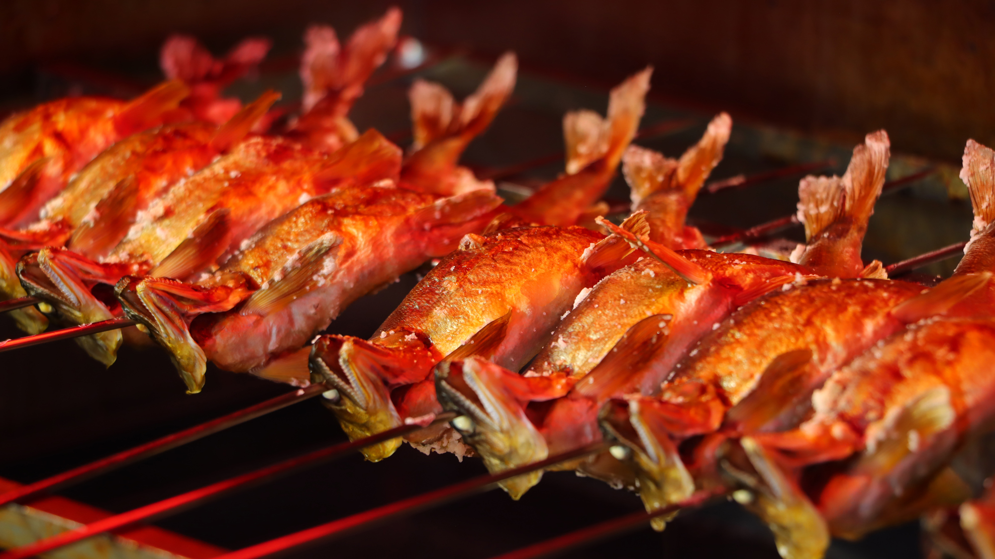 しっかりと塩フリ、焼入れで川魚も美味しくいただけるよう仕込んでいます