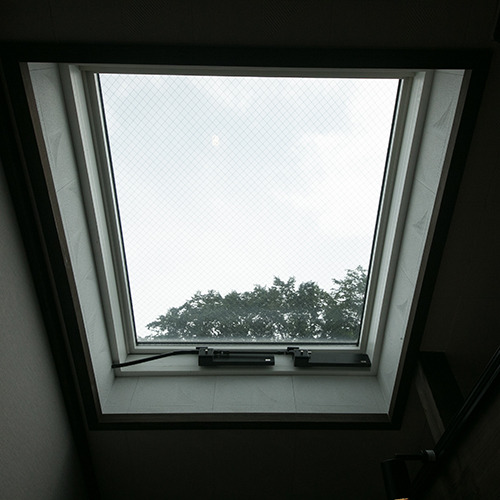   [Room] View image from the room