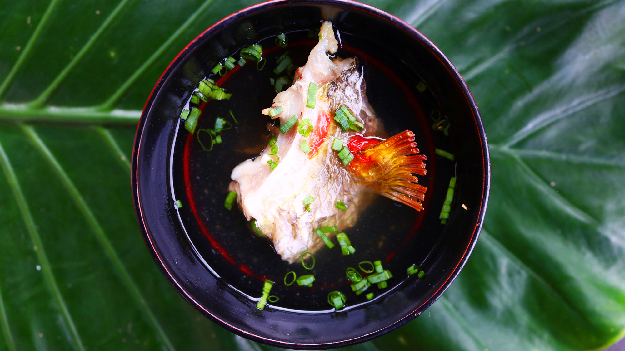 ＃海の幸コース