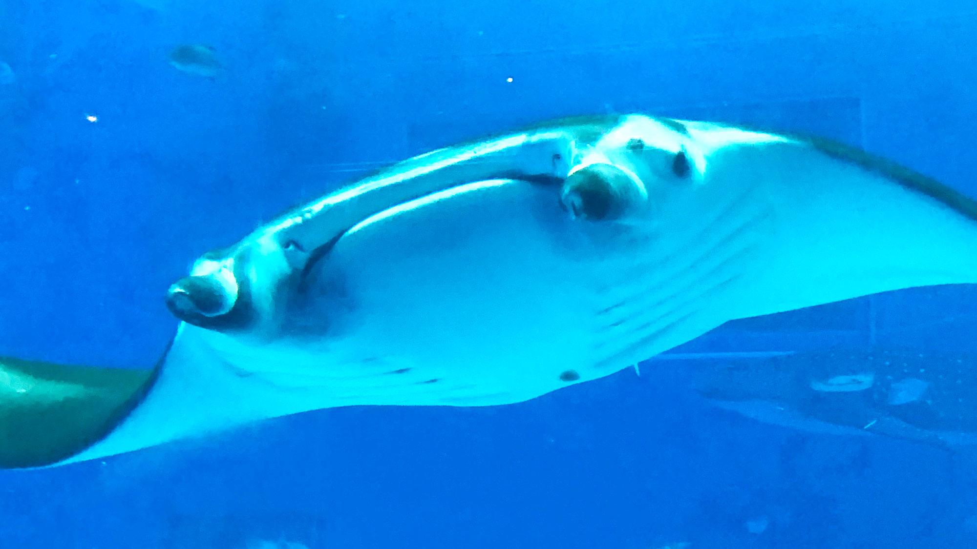 水族館