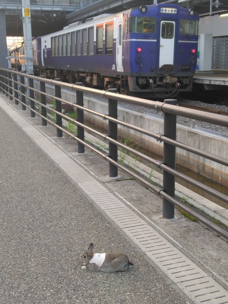 【トキ鉄乗車券付き】お気軽に素泊まりプラン（16時IN〜9時OUT）