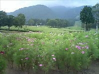 お気軽に素泊まりプラン（16時IN 〜9時OUT)