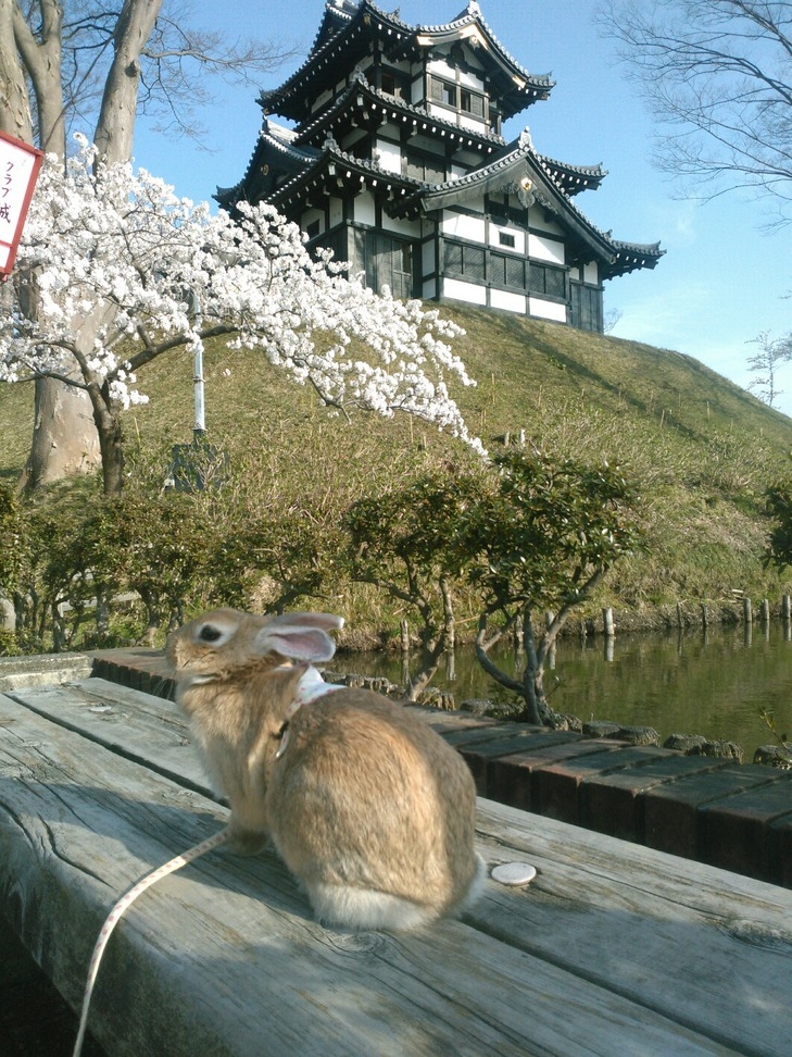 【連泊割引】お気軽に素泊まりプラン