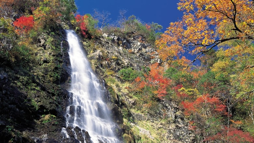 天滝　日本の滝100選に選ばれている落差98ｍの名瀑（約1.2kmの登山道をのぼりが必要です）