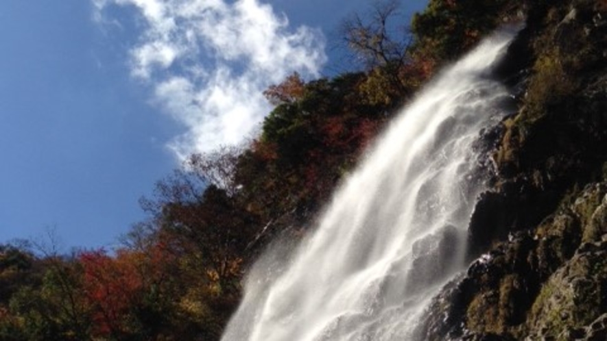 天滝　県下随一の名瀑。弘法大師がこの地を聖地として崇められたとして伝えられています