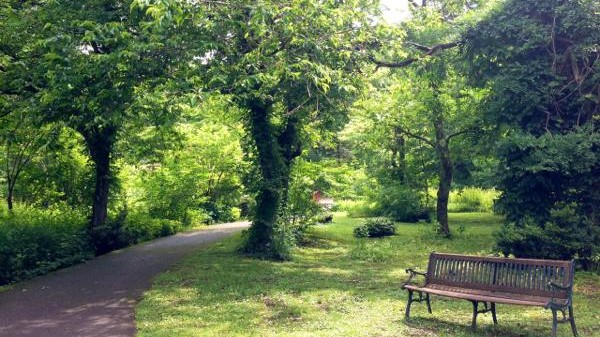 たじま高原植物園　小鳥の声とせせらぎの音・・・大地のエネルギーを感じ、思いっきり吸い込んでください