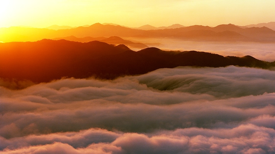 雲海　盆地や谷地が多いこの地域は秋～初冬に良く川霧が発生します。この雲海は豊岡・来日山からの光景