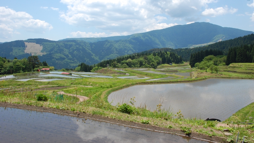 別宮の棚田　兵庫の屋根・氷ノ山を正面に望み、約130枚もの田んぼが美しい四季を彩ります