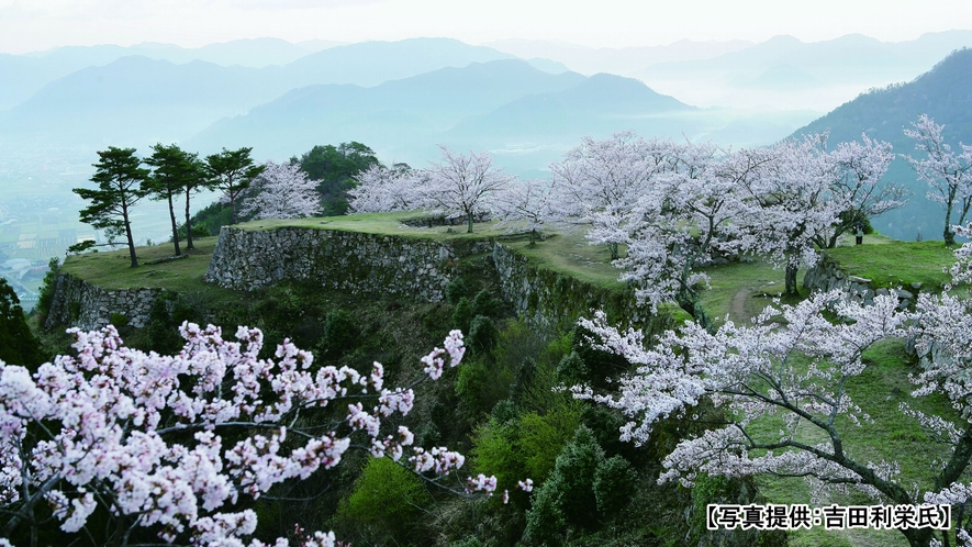 桜咲く頃の竹田城跡の一例