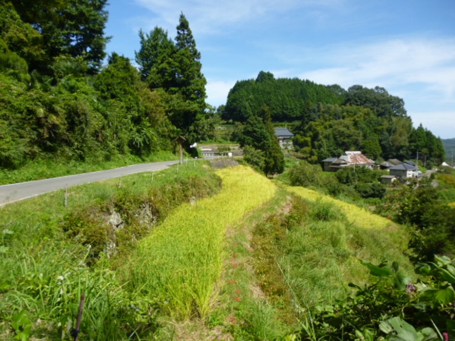 北庄棚田の秋