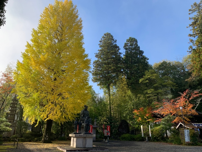 誕生寺