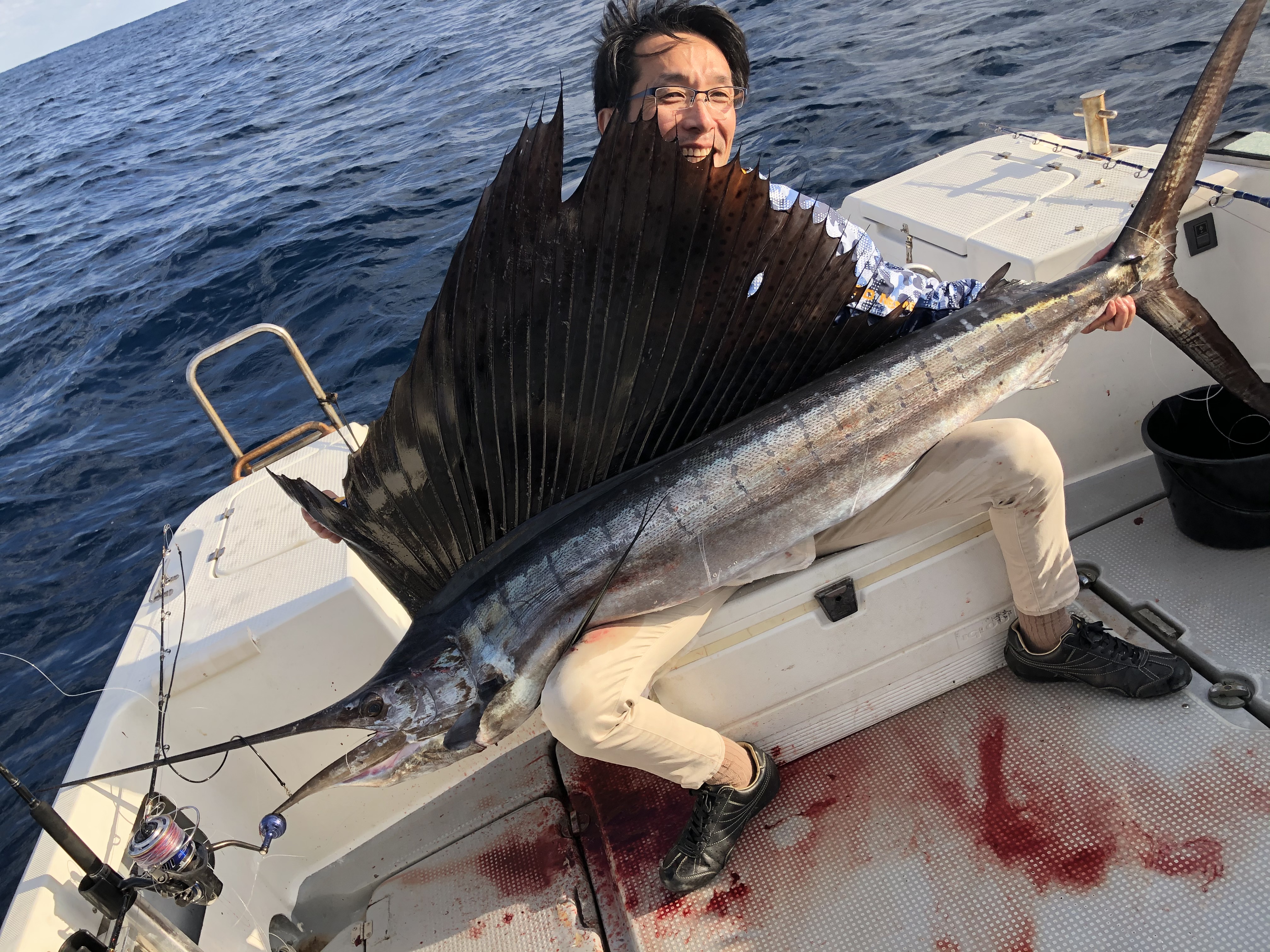 バショウカジキは年に8本釣れますよ！
