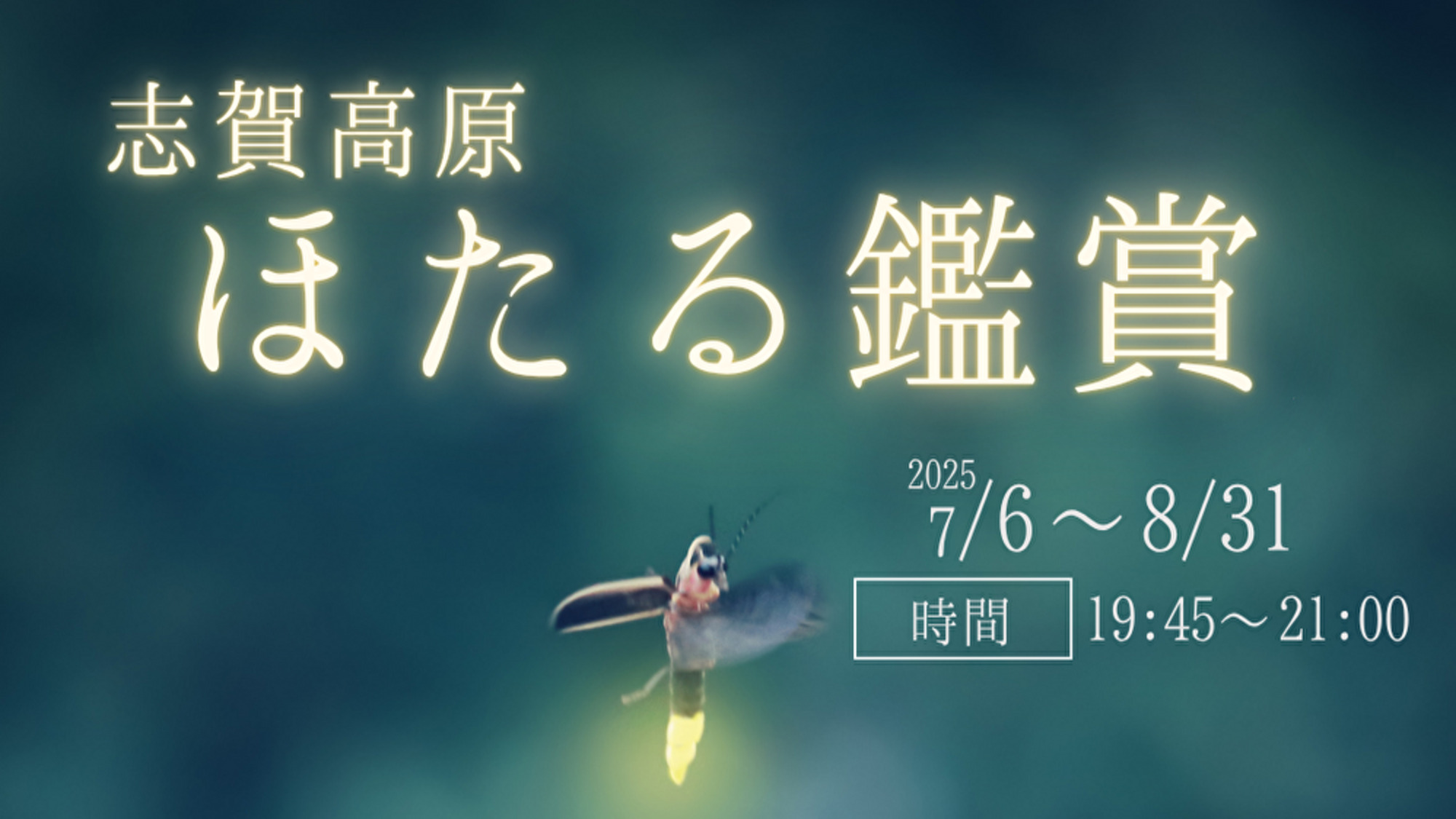 ほたる鑑賞ツアー