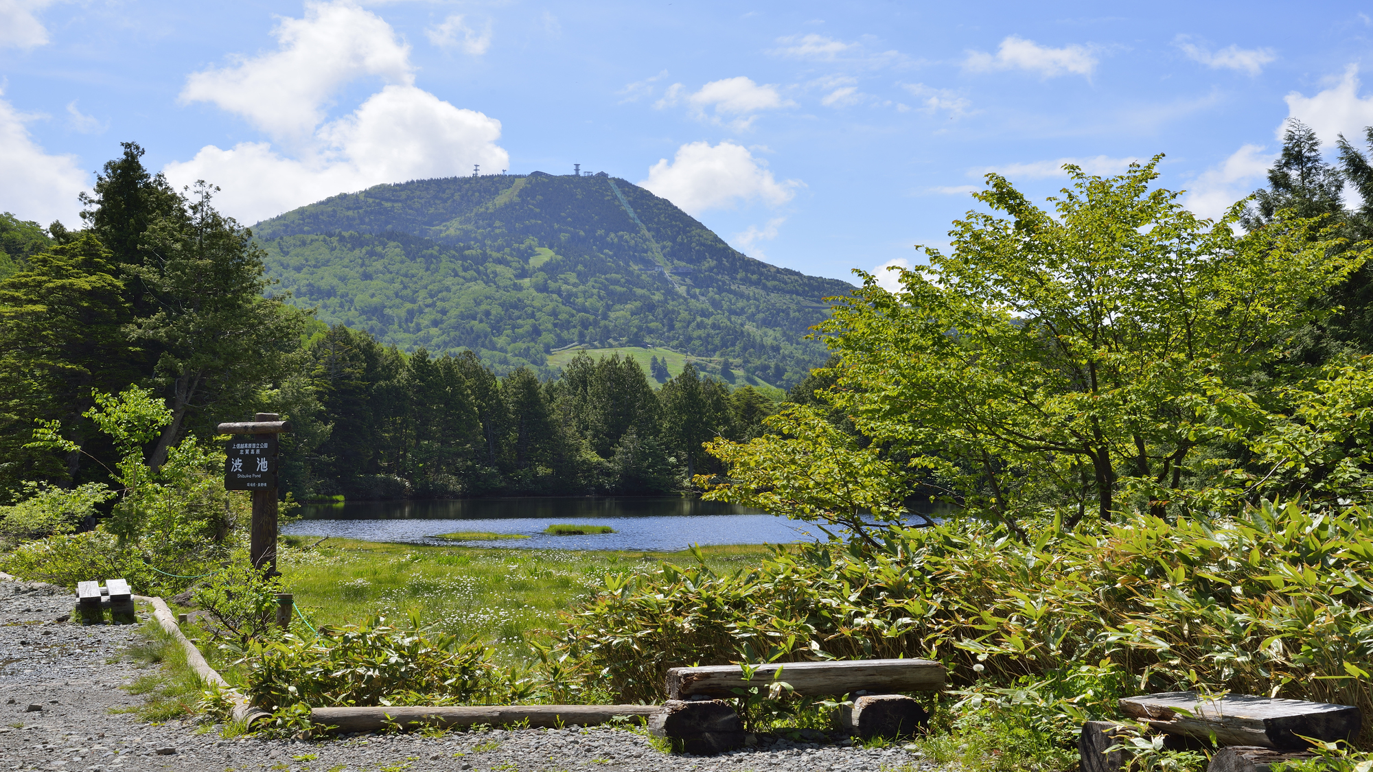 志賀高原夏の景色
