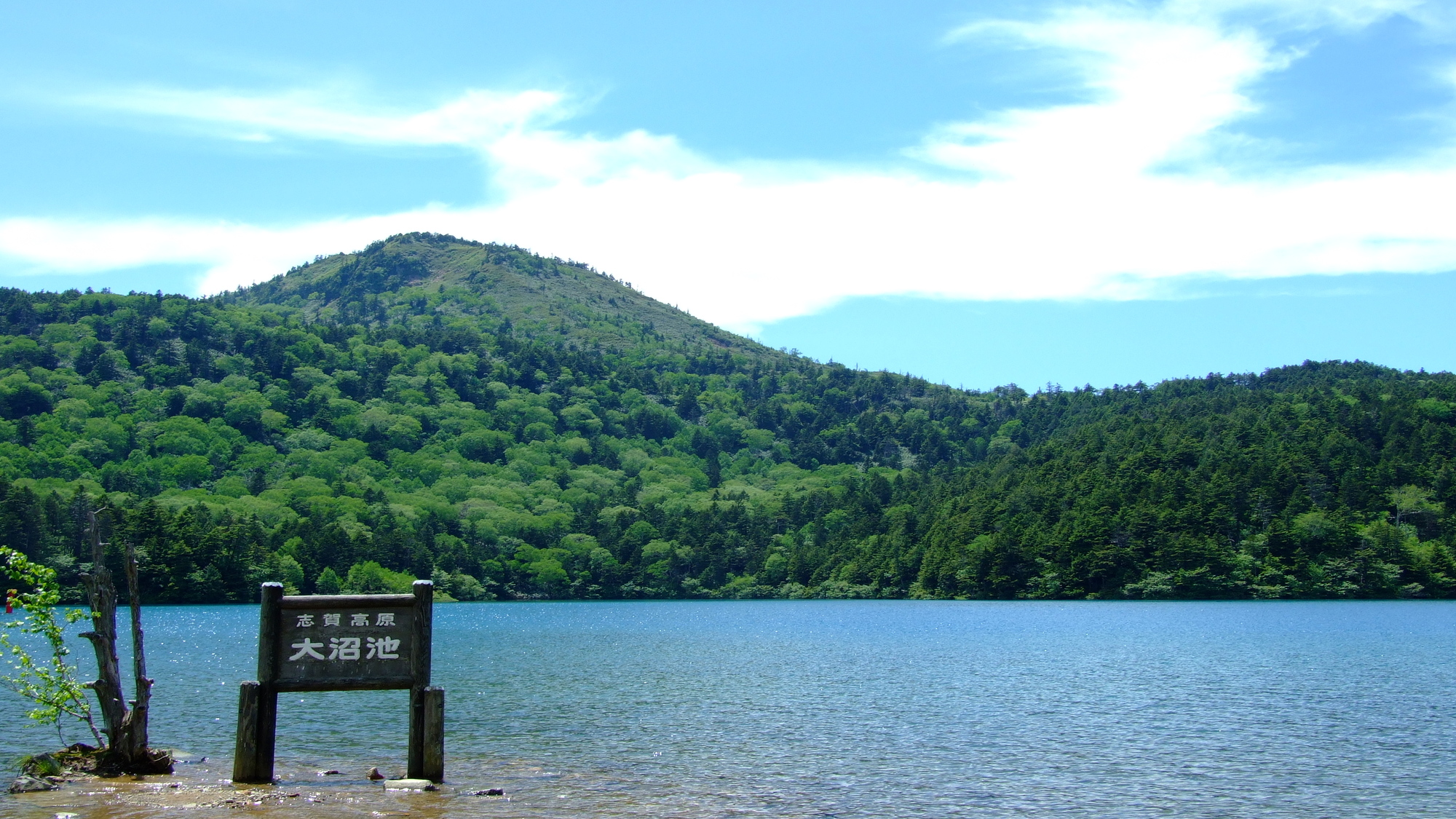 志賀高原夏の景色