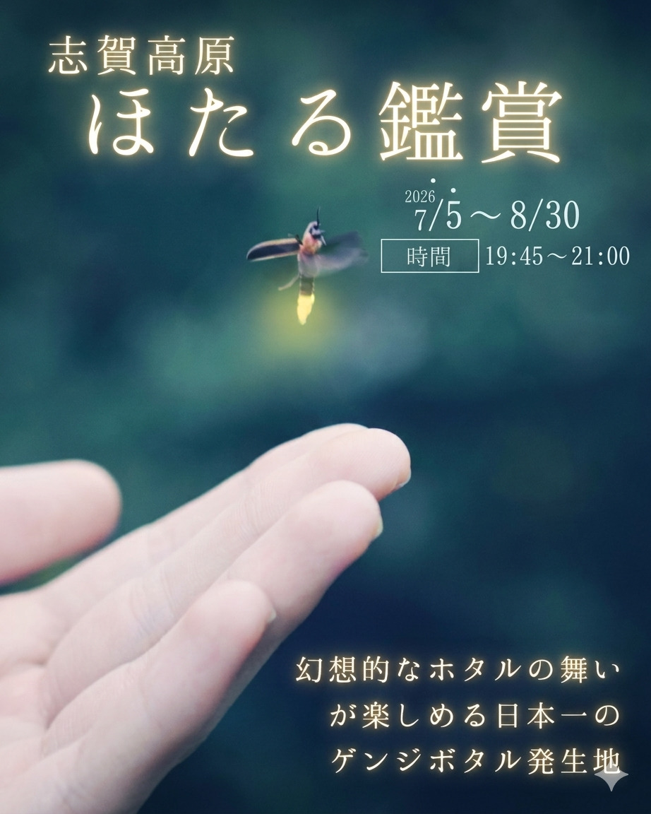 2026年ホタル鑑賞ツアー