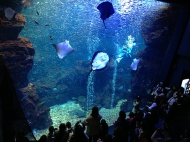 京都水族館